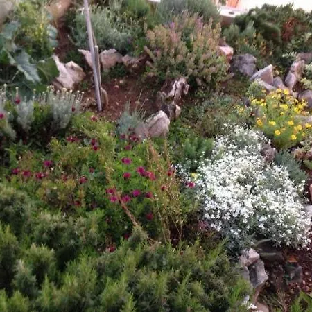 Lejlighed Razanj 11347c *