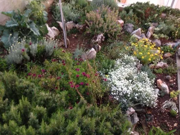 アパート Razanj 11347c *